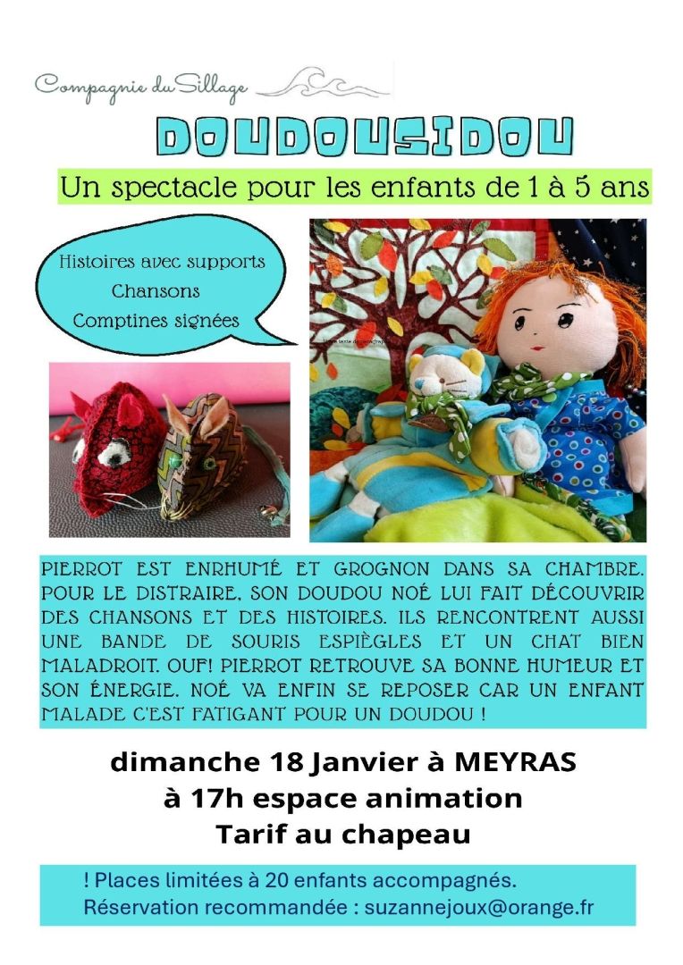 Affiche Doudousidou v2