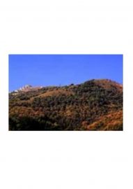 Nature et volcans