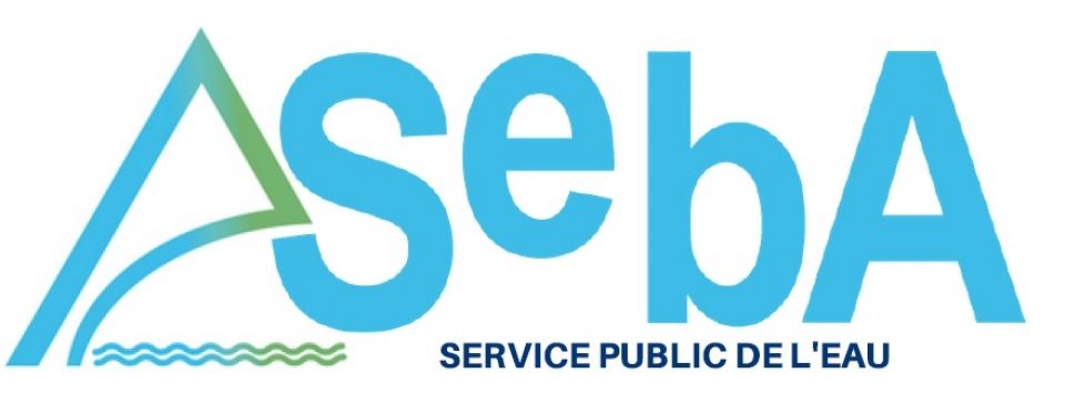 SEBA service public